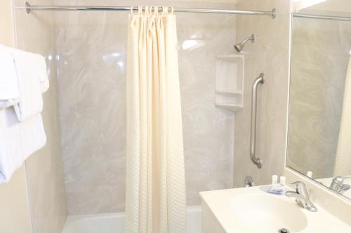 弗拉格斯塔夫弗拉格斯塔夫海兰德乡村旅馆的浴室配有淋浴帘和盥洗盆。