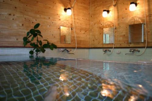 水上町老斯特林膳食公寓酒店的一个带盆栽植物和镜子的游泳池