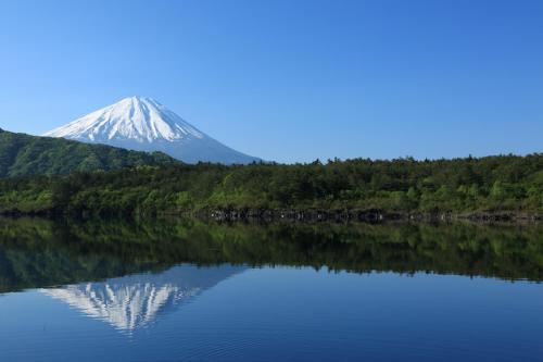 富士吉田市MYSTAYS 富士山展望温泉酒店的相册照片