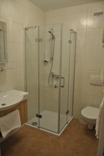 KleinlobmingGasthof Landhotel Hubmann的带淋浴、水槽和卫生间的浴室
