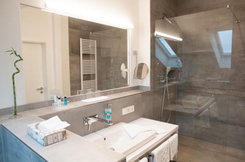穆尔海姆Boutique-Hotel im Weingarten的一间带水槽和镜子的浴室