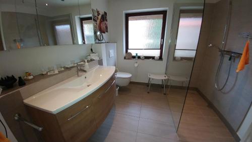塔尔普艾乌尔内斯特旅馆的一间带水槽、卫生间和淋浴的浴室