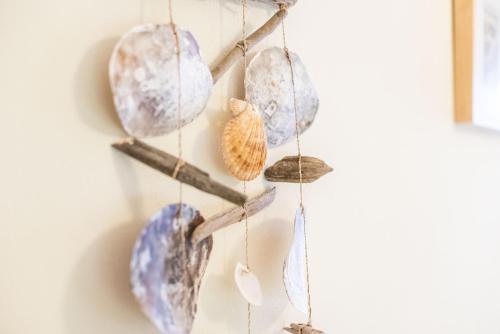 阿尔布费拉Quinta do Silvestre的一种用贝壳和贝壳装饰的漂浮木支墙艺术