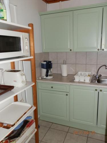 海吉克Hipságh Vendégház的一间厨房,配有绿色的橱柜和微波炉