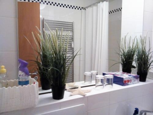 蒂宾根City Apartment Tübingen-Lustnau的浴室设有白色水槽上的盆栽植物