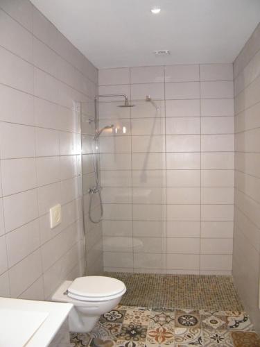 皮斯甘Clos Vieux Rochers Vineyard的白色的浴室设有卫生间和淋浴。