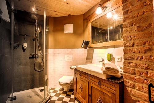 巴特尚道Bio-Hotel Zur Mühle的带淋浴、盥洗盆和卫生间的浴室