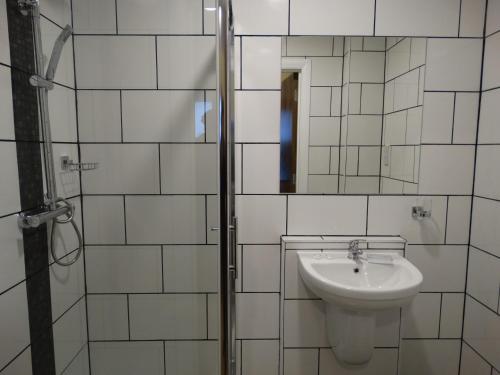 布特尔特里维利斯塞福思酒店的一间带水槽和镜子的浴室