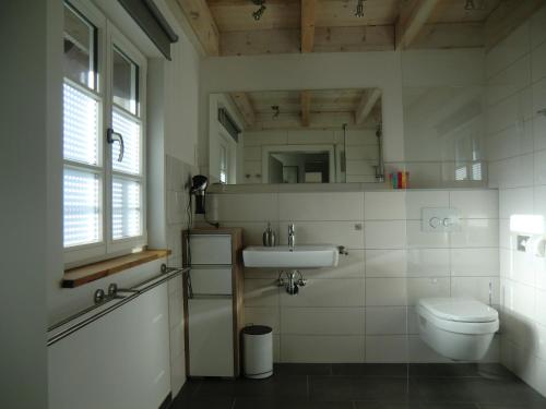 罗埃特根Ferienwohnung "im Winkelhof"的一间带水槽和卫生间的浴室