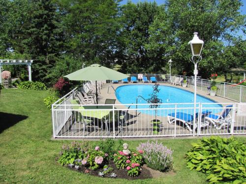 金斯顿绿色英亩旅馆的一个带遮阳伞、椅子和鲜花的游泳池