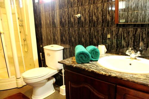 尼甘布苏耶瓦尼别墅的浴室设有卫生间、水槽和毛巾