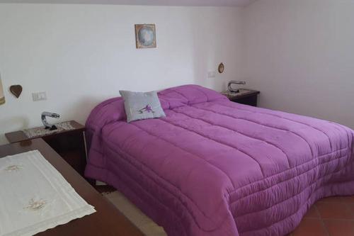 葛伦坦马勒Casa di Mary的客房内的一张带紫色棉被的床
