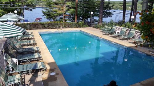 拉科尼亚白桦山庄汽车旅馆的一个带椅子的大型游泳池和一个游泳池