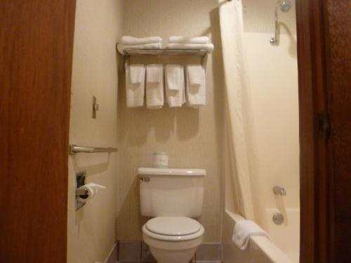 PhillipsTimber Inn Motel的一间带卫生间、淋浴和毛巾的浴室