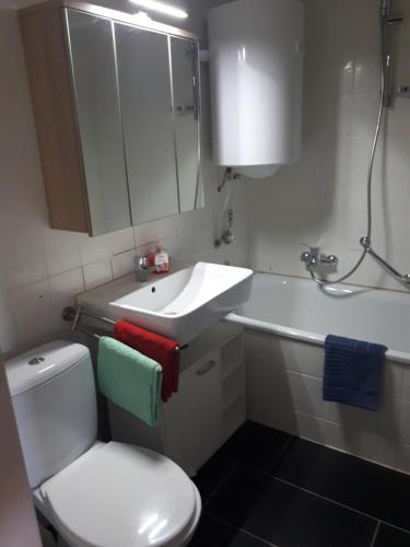 康斯坦茨Ferienwohnung Messmer的浴室配有白色卫生间和盥洗盆。