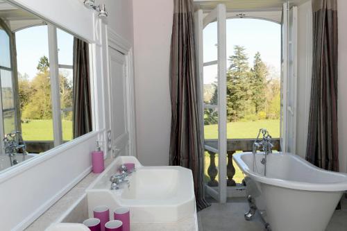 Parigny埃利拉城堡酒店的带浴缸的浴室和大窗户