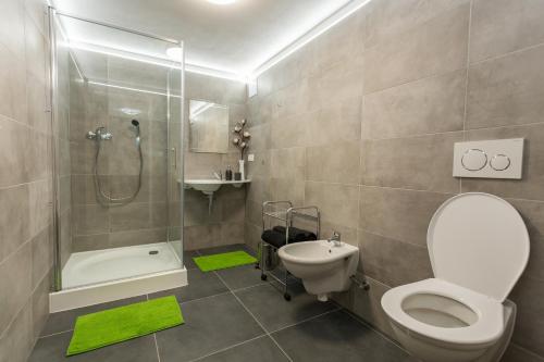 迪耶河畔弗拉诺夫Lesní Penzion Vranov的浴室配有卫生间、淋浴和盥洗盆。