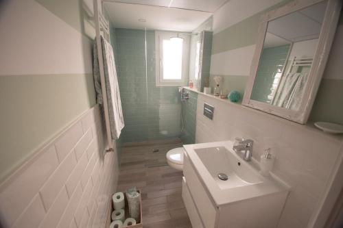 科尔多瓦Apartamento El Balcon de la Muralla的一间带水槽、卫生间和镜子的浴室