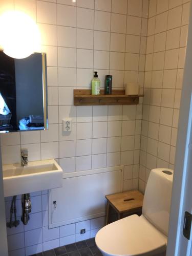 门斯特罗斯Höjdens Lågprishotell的一间带水槽、卫生间和镜子的浴室