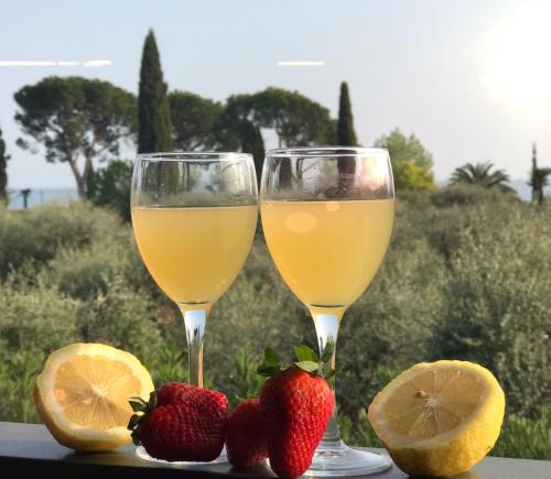 托斯科拉诺-马德尔诺栀子花度假屋的桌子上放两杯葡萄酒和草莓