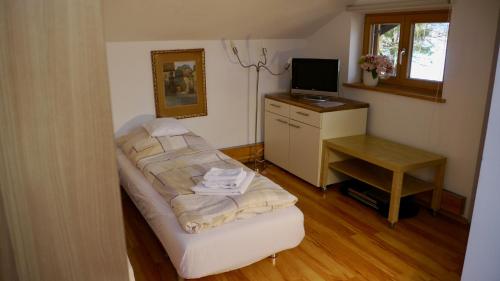 若特阿赫-埃根Apartment Kobellstrasse的客房设有床、书桌和电视。