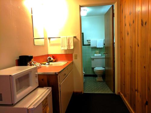 布兰丁普洛斯派克特汽车旅馆的一间带水槽、卫生间和微波炉的浴室