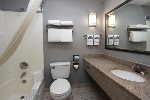 苏城苏城新维多利亚酒店 的一间带卫生间、水槽和镜子的浴室