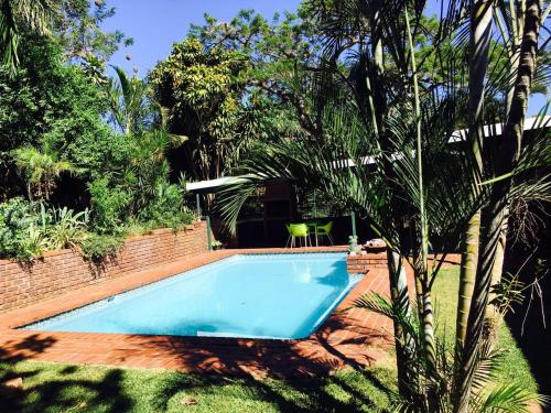 彼得马里茨堡Lincoln Cottages BnB & Self-Catering的棕榈树庭院中的游泳池