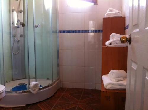 Hotel Altos de Atacama的一间浴室