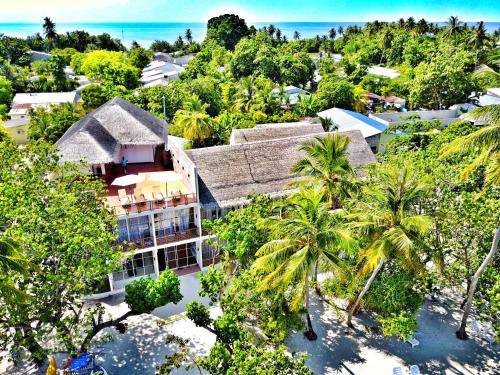 迪古拉阿提里马尔代夫海滩酒店的棕榈树度假村的空中景致