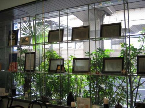 东京西新宿绿色酒店的一间拥有一束植物窗户的房间
