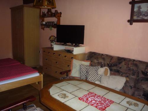 Dlouhá VesUbytovani Eden的带沙发和电视的客厅