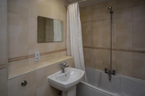 阿伯里斯特威斯布林公园服务式公寓的浴室设有水槽、浴缸和镜子