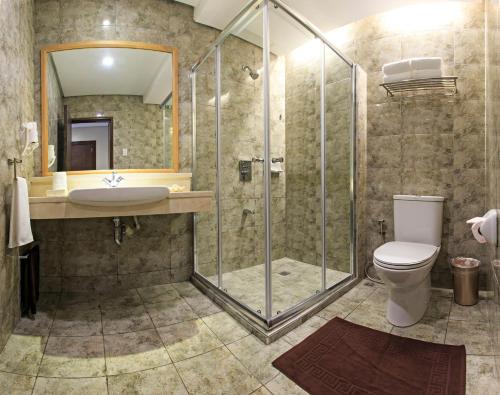 宿务宿雾威斯敦泻湖度假酒店 - 南翼楼的带淋浴、卫生间和盥洗盆的浴室