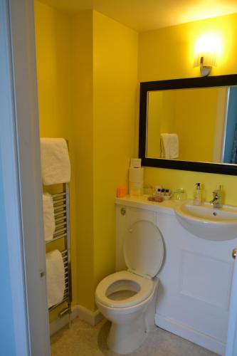 圣安德鲁斯The Spindle Guest Rooms的一间带卫生间、水槽和镜子的浴室