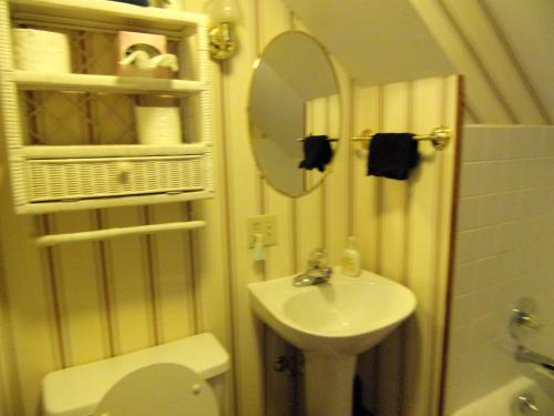 SidneyCountry Diamond的一间带水槽、卫生间和镜子的浴室