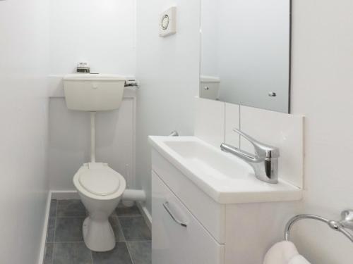 罗托鲁瓦温馨小屋温泉假日公园的白色的浴室设有卫生间和水槽。