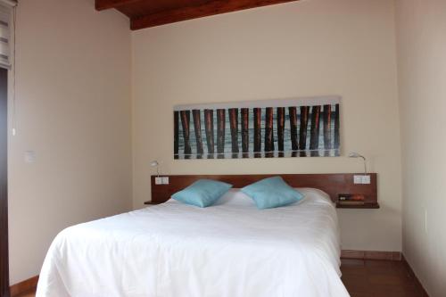 大塔拉哈尔Marea Alta的一间卧室配有白色的床和2个蓝色枕头