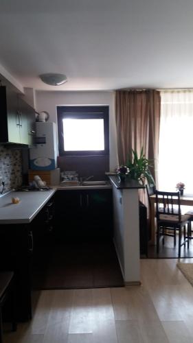 阿祖加Snow Residence Azuga的厨房配有柜台、窗户和桌子