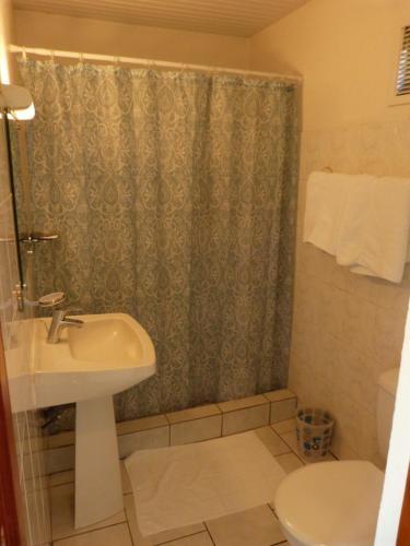 DucosAirport hotel的一间带水槽和淋浴帘的浴室