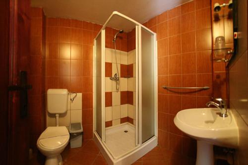 红湖加尔别墅的带淋浴、卫生间和盥洗盆的浴室
