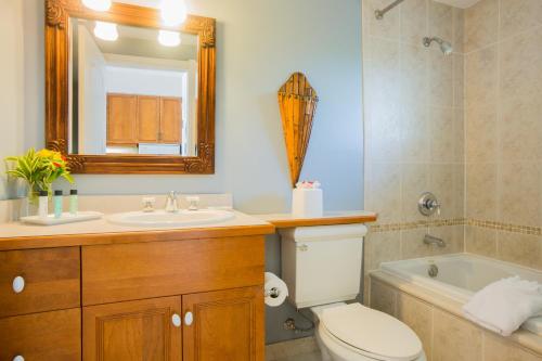 格雷斯湾皇家西印度群岛度假屋的一间带水槽、卫生间和镜子的浴室