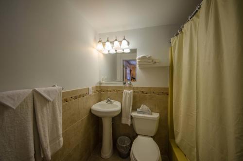 威尔伍德克拉斯特Compass Family Resort的一间带卫生间、水槽和镜子的浴室