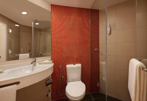 哥印拜陀ibis Coimbatore City Centre - An Accor Brand的一间带卫生间、水槽和镜子的浴室