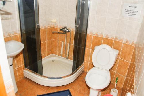 DolinkaEvita Hotel的带淋浴、卫生间和盥洗盆的浴室
