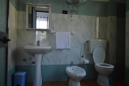 圣金Hotel Bolonja的一间带水槽、卫生间和镜子的浴室