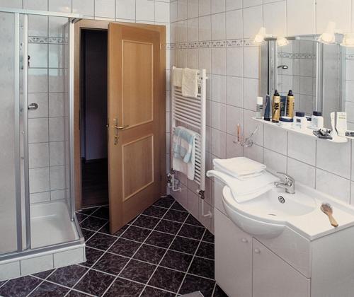 德弗雷根谷地圣雅各布Gabershof的一间带水槽、淋浴和卫生间的浴室