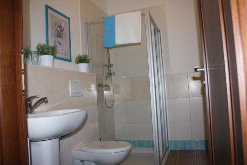 迪耶河畔弗拉诺夫Penzion INspira的带淋浴、卫生间和盥洗盆的浴室
