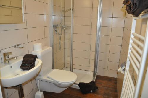 施瓦尔茨湖Alte Bäckerei的浴室配有卫生间、盥洗盆和淋浴。