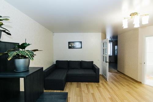苏梅VIP Apartment ob Gorkogo Square的带沙发和盆栽植物的客厅